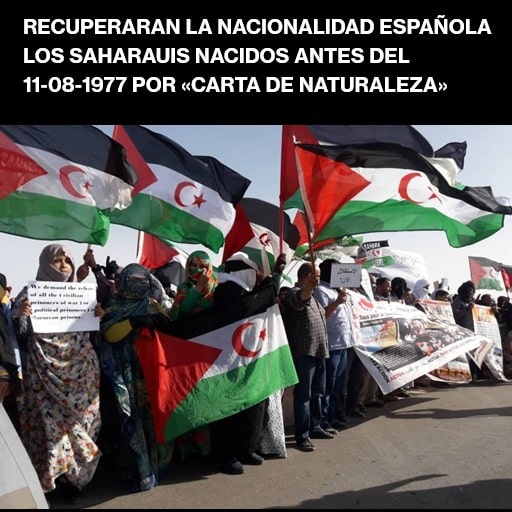Recuperaran la nacionalidad española los saharauis nacidos antes del 11-08-1977