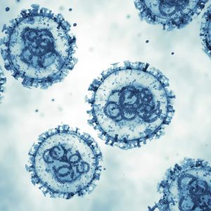 Venezuela confirma tres muertes por hantavirus en Anzoátegui y descarta relación con casos bajo investigación en Barinas