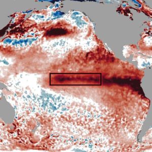 América Latina debe actuar urgentemente frente a El Niño