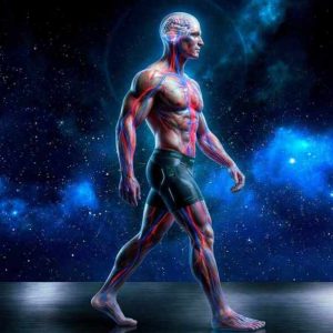 Caminar puede hacer crecer el cerebro según estudio
