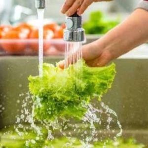 Higiene de alimentos es vital ante desastres
