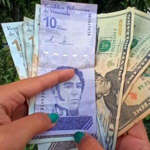 Más caro que ayer: BCV actualizó el monto cambiario del dólar para este 11 de agosto