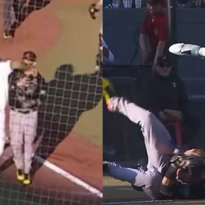 Danry Vásquez provoca una trifulca en la Liga Mexicana de Béisbol (+Video)
