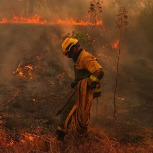 Incendio en el sur de España extiende su perímetro a 8.000 hectáreas