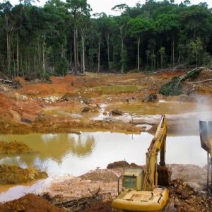 Gold Reserve regresa a Venezuela para explotar oro y reclamar 1.260 millones de dólares al Estado