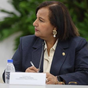 Dinorah Figuera reveló cuándo espera tener listo el nuevo CNE
