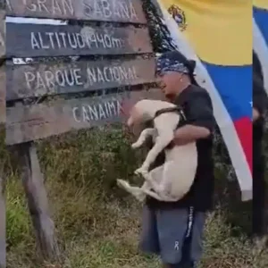Usuarios de las redes sociales registran la llegada de Miltico al letrero de entrada a La Gran Sabana