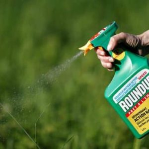 Jurado de EEUU da la razón a Bayer en demanda por un caso de cáncer relacionado con herbicida