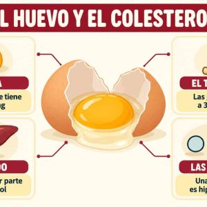 ¿Comer un huevo al día después de los 50 sube el colesterol? Lo que dice la evidencia